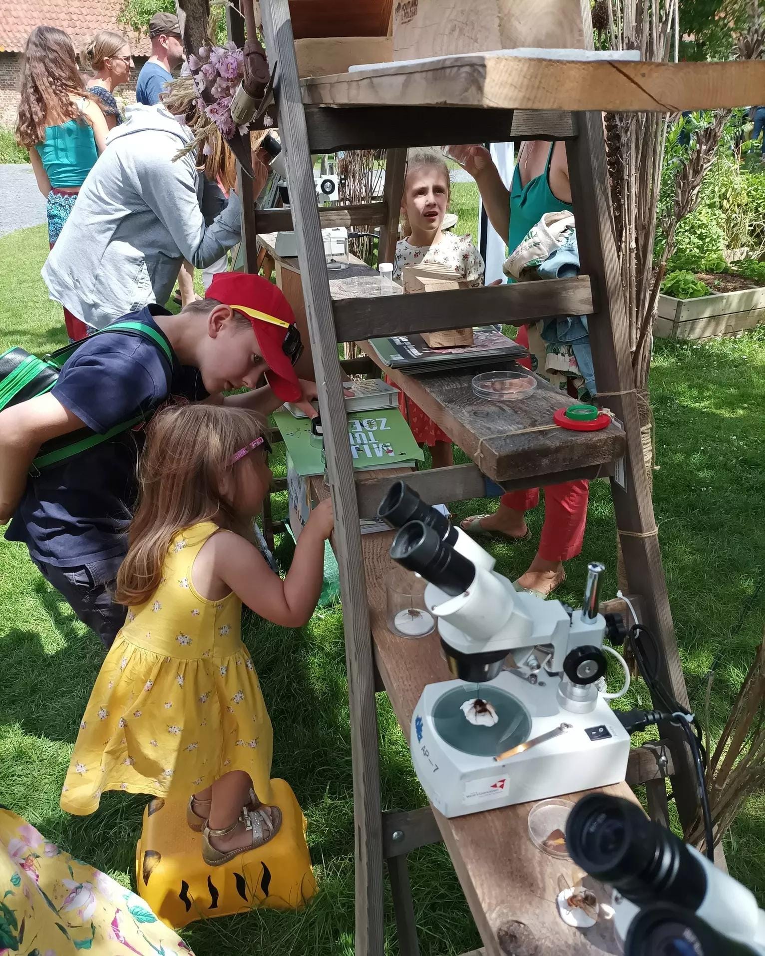 Belevingsmarkt in Tillegembos