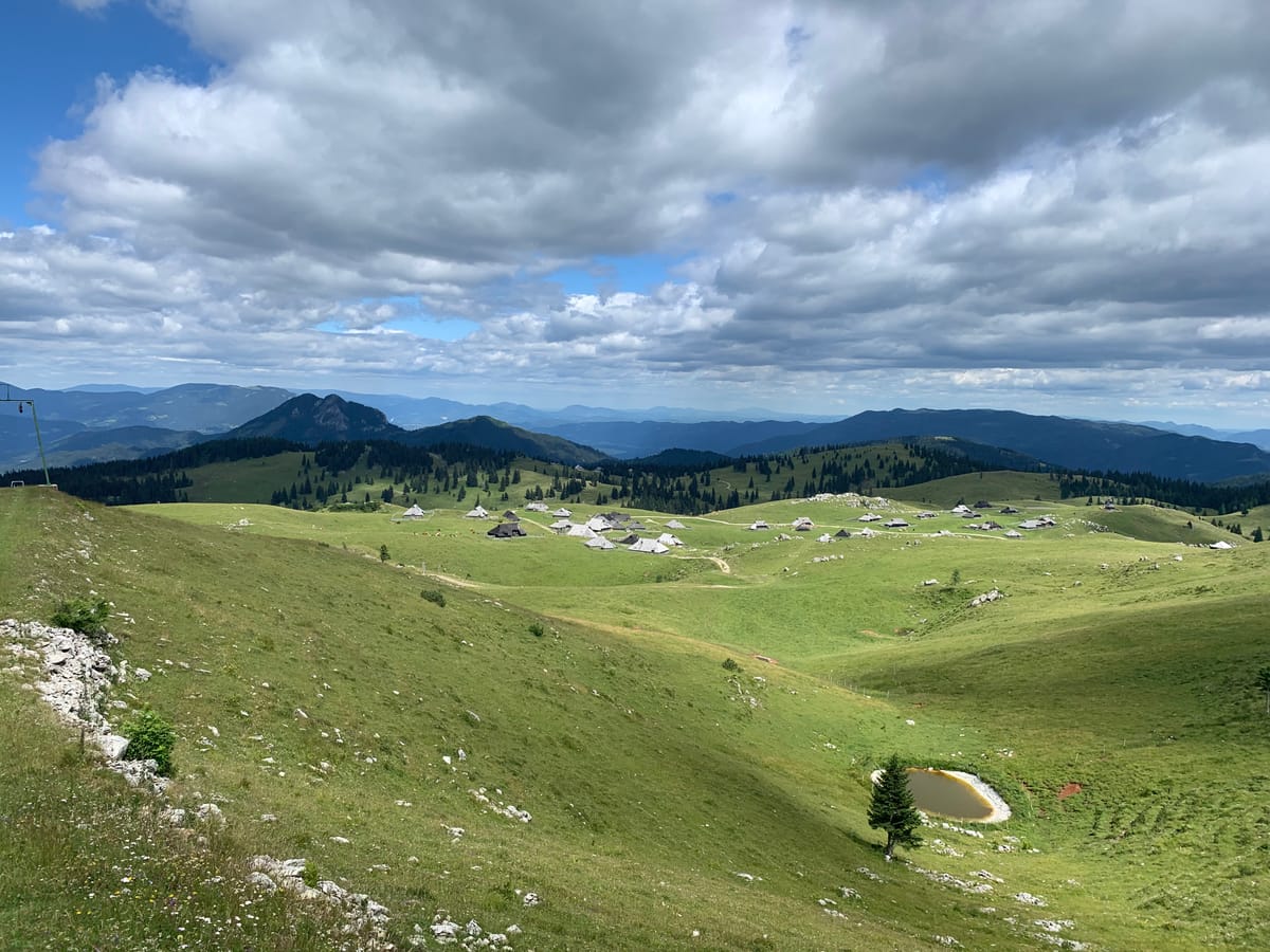 Bedankt voor jouw bestelling